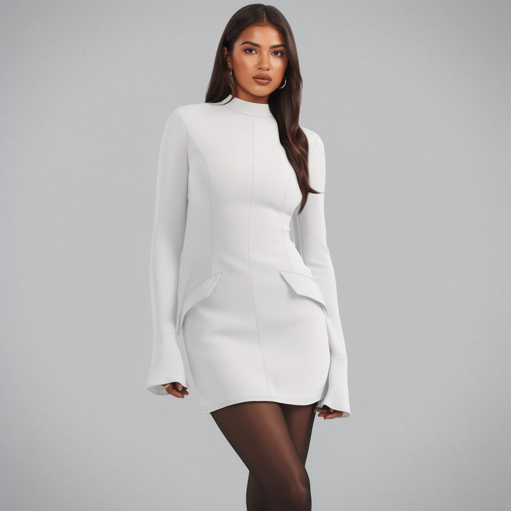 Elegant Mock Neck Long Sleeve Bodycon Mini Dress - MYSTERYBOXS